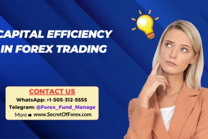 Capital Efficiency in Forex Trading
