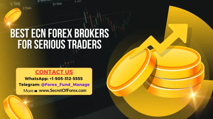 Best ECN Forex Brokers for Serious Traders