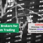 Best Forex Brokers for Long-Term Trading