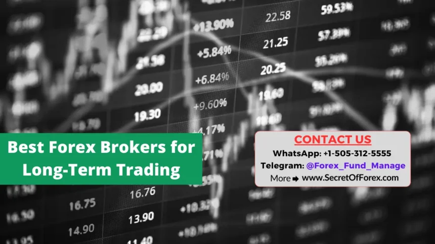 Best Forex Brokers for Long-Term Trading
