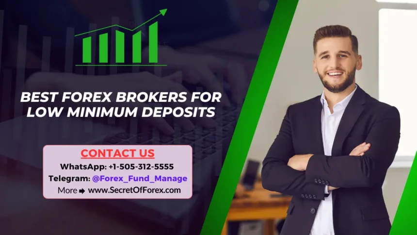 Best Forex Brokers for Low Minimum Deposits