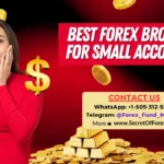 Best Forex Brokers for Small Accounts