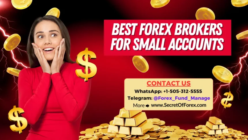Best Forex Brokers for Small Accounts