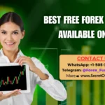Best Free Forex Signals Available Online
