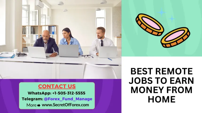 Best Remote Jobs to Earn Money From Home