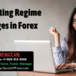 Detecting Regime Changes in Forex