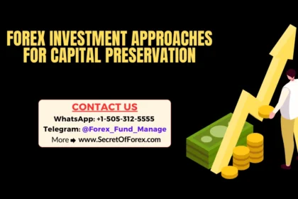 Forex Investment Approaches for Capital Preservation