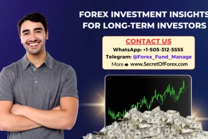 Forex Investment Insights for Long-Term Investors