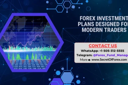 Forex Investment Plans Designed for Modern Traders