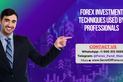 Forex Investment Techniques Used by Professionals