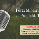 Forex Mindset Habits of Profitable Traders