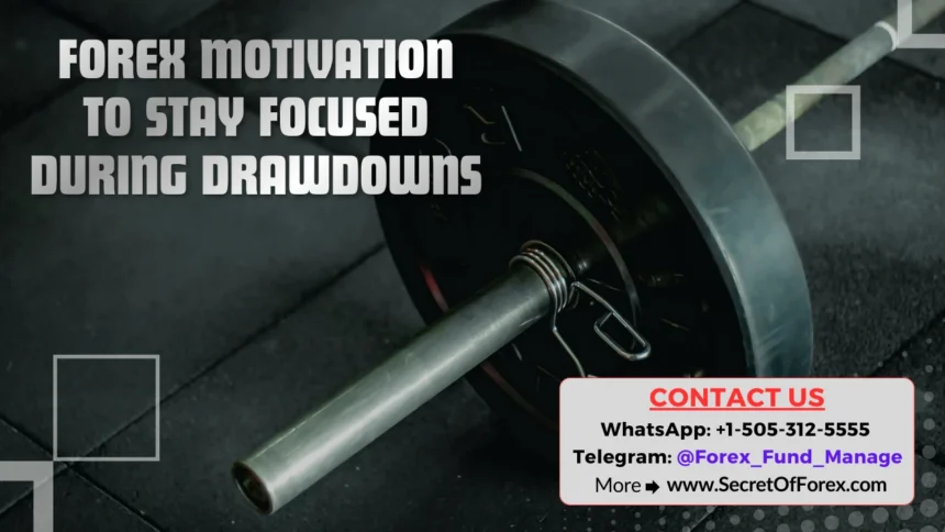 Forex Motivation to Stay Focused During Drawdowns