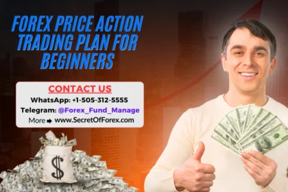 Forex Price Action Trading Plan for Beginners