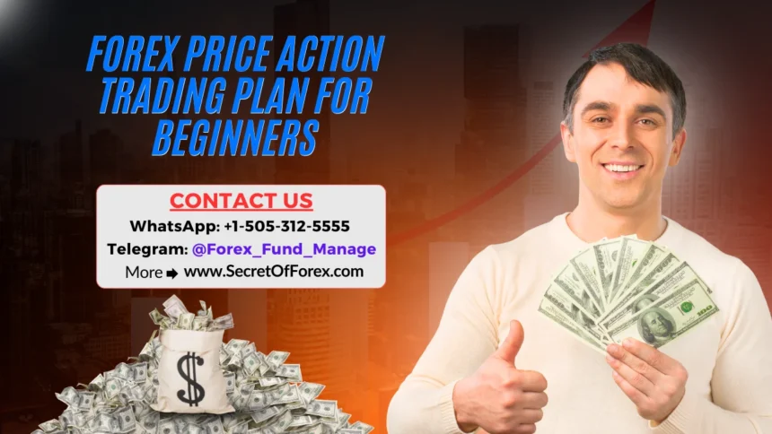 Forex Price Action Trading Plan for Beginners