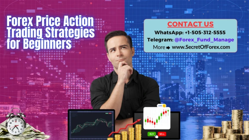 Forex Price Action Trading Strategies for Beginners