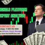 Forex Signals Platform with Expert Analysis