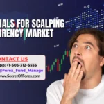 Forex Signals for Scalping the Currency Market