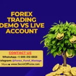 Forex Trading Demo vs Live Account