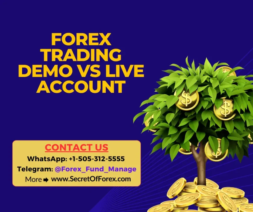 Forex Trading Demo vs Live Account