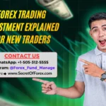 Forex Trading Investment Explained for New Traders