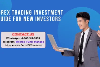 Forex Trading Investment Guide for New Investors
