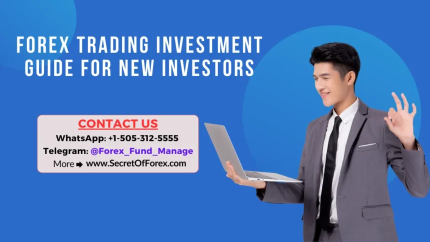 Forex Trading Investment Guide for New Investors