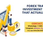 Forex Trading Investment Models That Actually Work