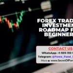 Forex Trading Investment Roadmap for Beginners