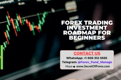 Forex Trading Investment Roadmap for Beginners