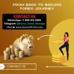 From 500 to 50,000 Forex Journey