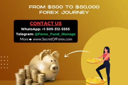 From 500 to 50,000 Forex Journey