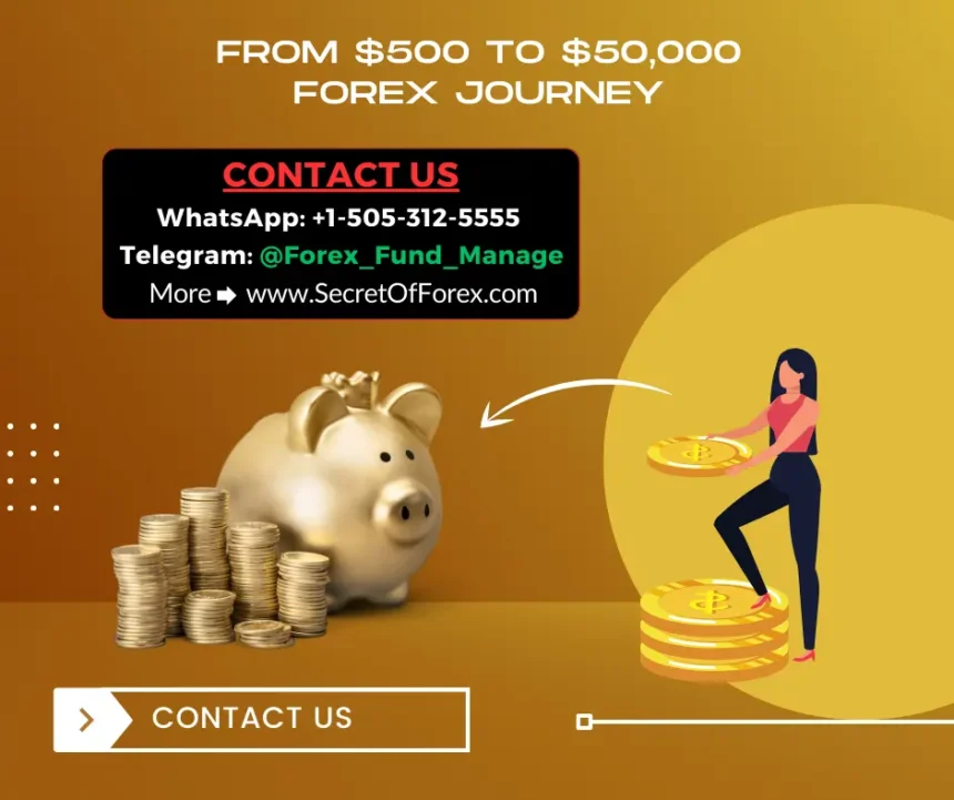 From 500 to 50,000 Forex Journey