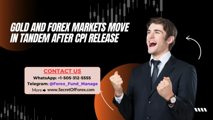 Gold and Forex Markets Move in Tandem After CPI Release