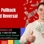 Healthy Pullback vs Trend Reversal