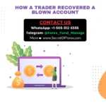 How a Trader Recovered a Blown Account