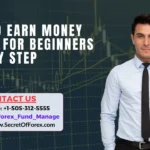 How to Earn Money Online for Beginners Step by Step
