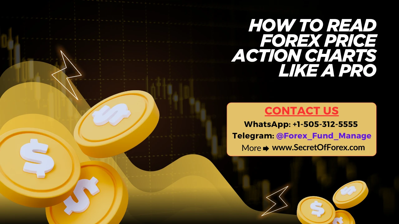 How to Read Forex Price Action Charts Like a Pro - forexblogs.org