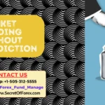 Market Reading Without Prediction