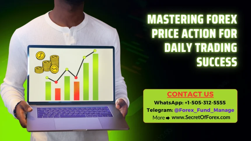 Mastering Forex Price Action for Daily Trading Success