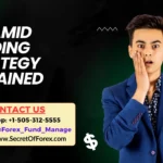 Pyramid Trading Strategy Explained