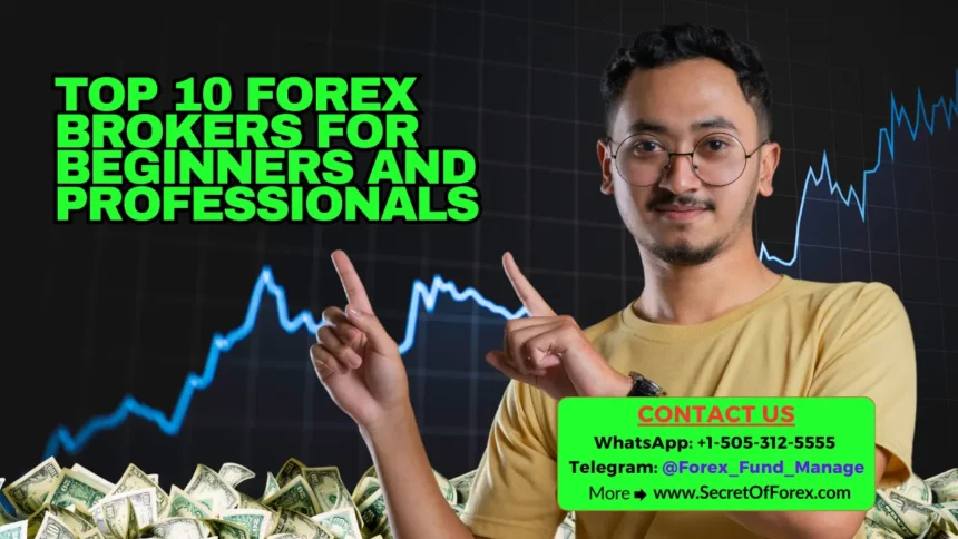 Top 10 Forex Brokers for Beginners and Professionals