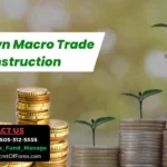Top-Down Macro Trade Construction