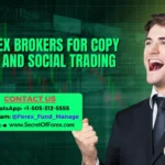 Top Forex Brokers for Copy Trading and Social Trading