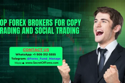 Top Forex Brokers for Copy Trading and Social Trading