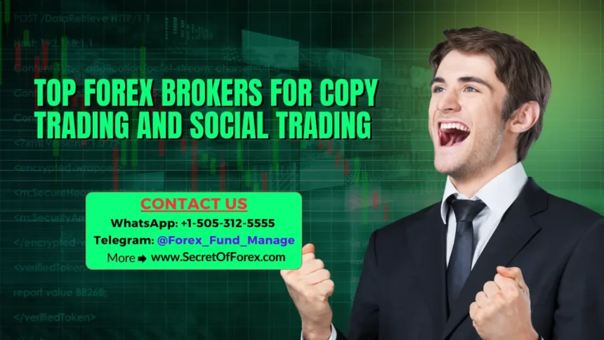 Top Forex Brokers for Copy Trading and Social Trading