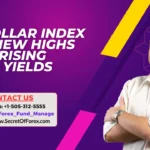 US Dollar Index Hits New Highs Amid Rising Bond Yields