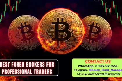 Best Forex Brokers for Professional Traders