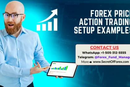 Forex Price Action Trading Setup Examples