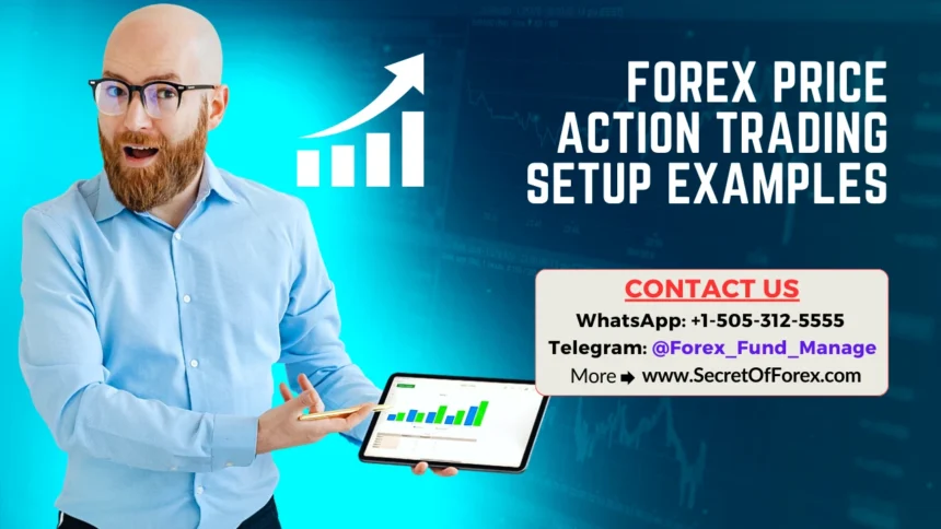 Forex Price Action Trading Setup Examples