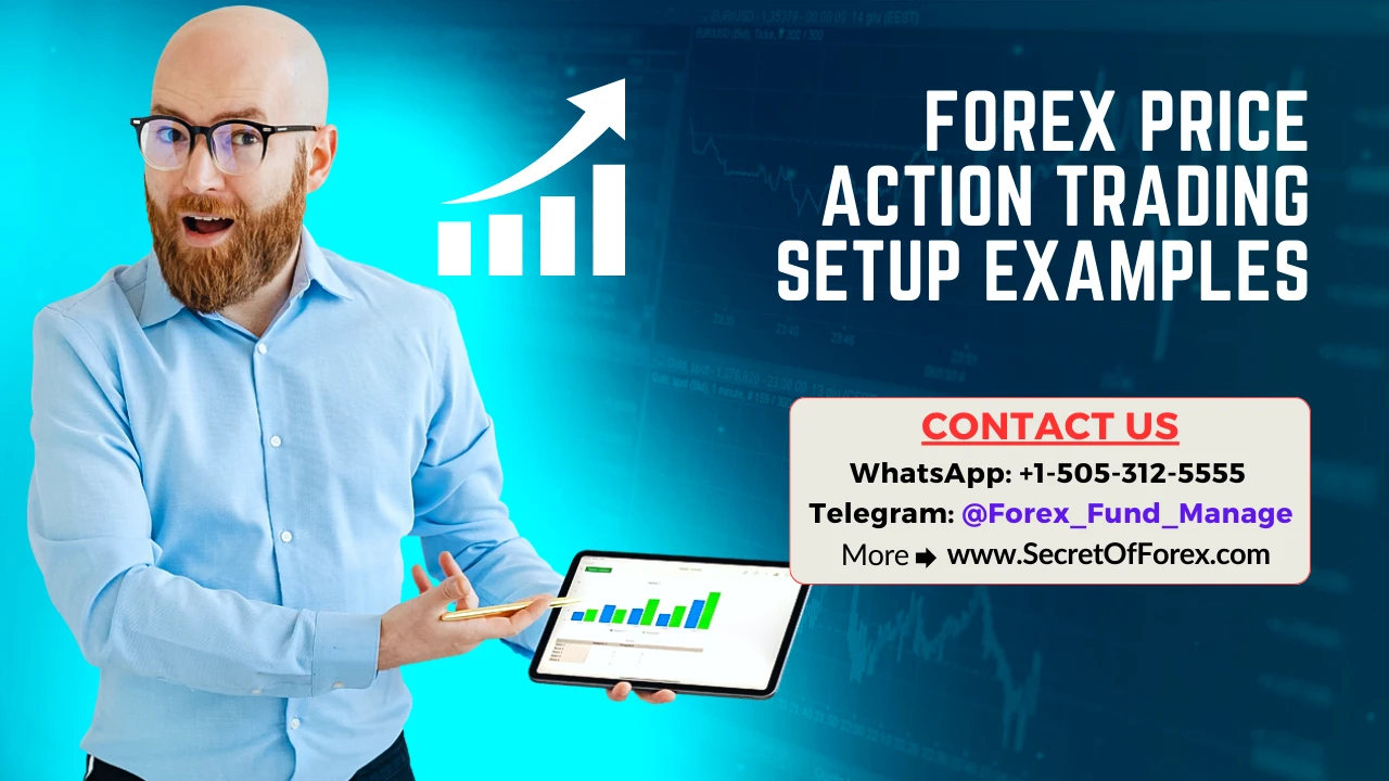 Forex Price Action Trading Setup Examples - forexblogs.org
